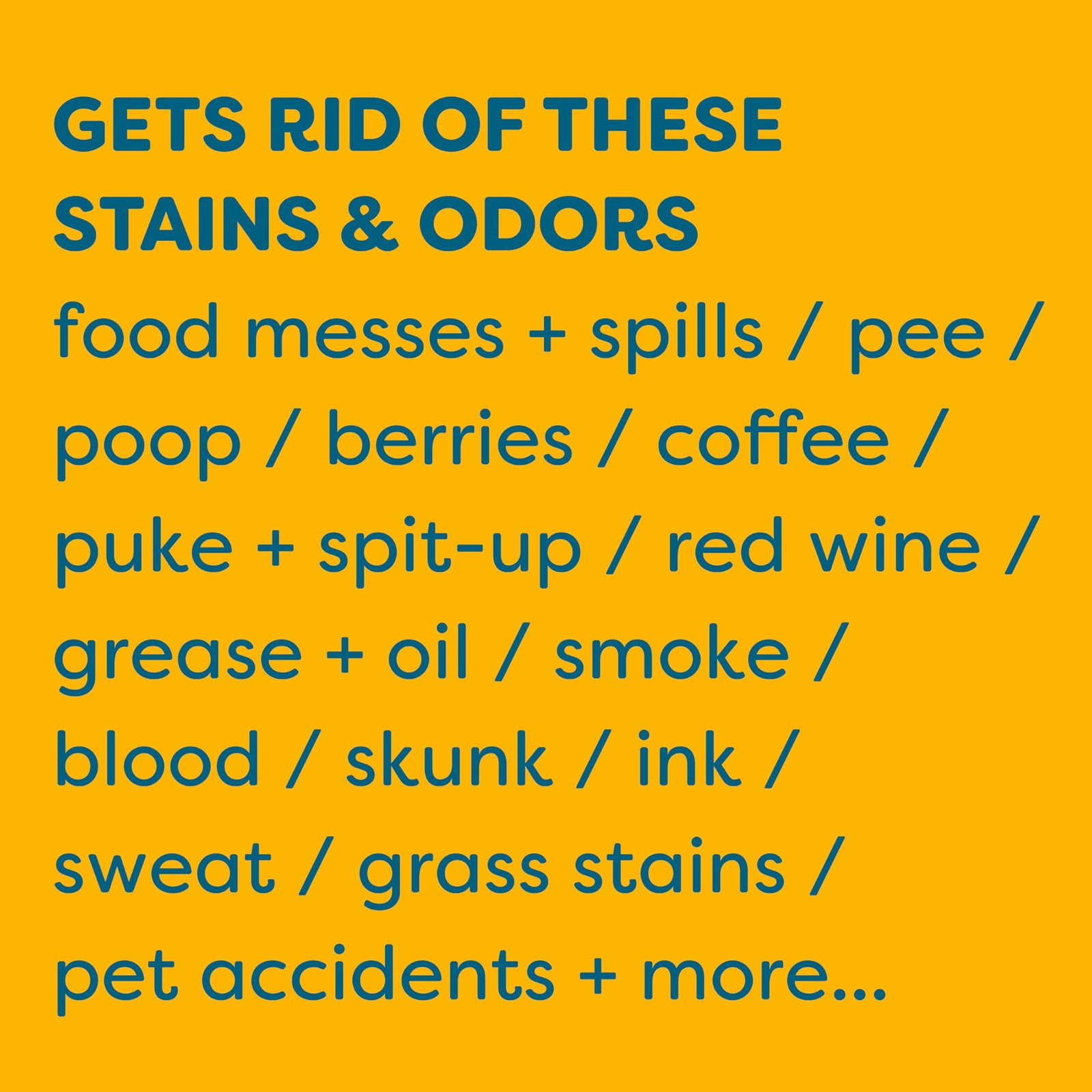 KIDS ‘N’ PETS – Instant All-Purpose Stain & Odor Remover – 128 fl oz (Packaging